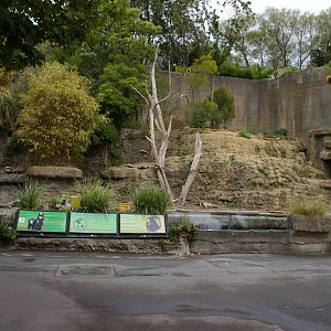 Wellington's sun bear enclosure