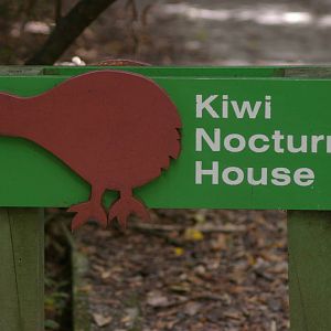 Kiwi House sign, Mt. Bruce