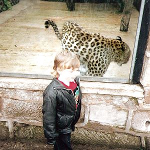 Old Cat House - The Persian Leopard and I