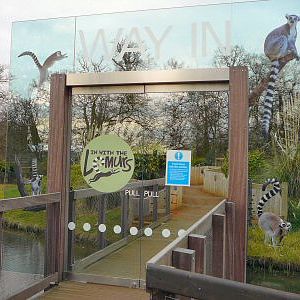 the new lemur enclosure entrance