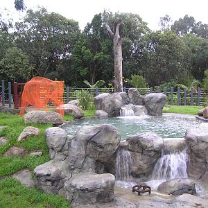 Melbourne Elephant enclosure 2005