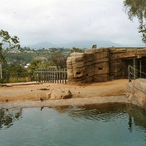 Elephant Exhibit