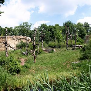Pongoland - Chimpanzee enclosure