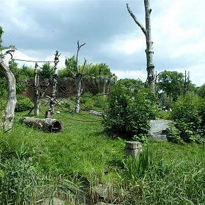 Pongoland - Gorilla enclosure