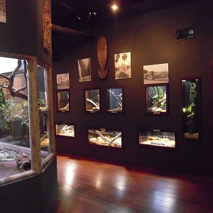 Komodo Reptile House interior