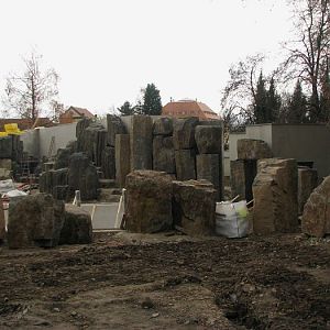 Cape fur seal exhibit at Prague zoo