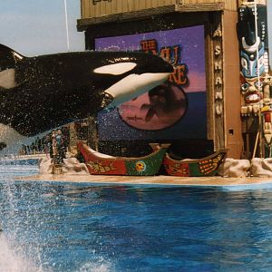 Orca Show Sep.2005