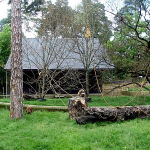 Parken Zoo - Gibbon island
