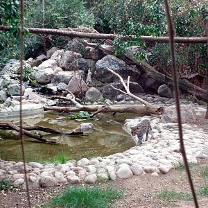 Parken Zoo - Fishning cat