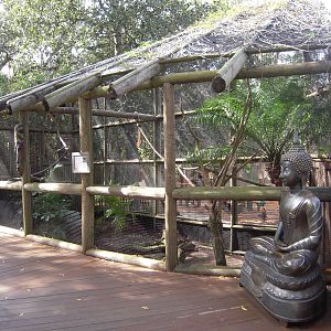 Hornbill Enclosure - Land of Crocodiles