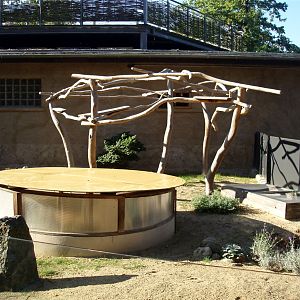 Schwerin Zoo - Sloth outdoor exhibit