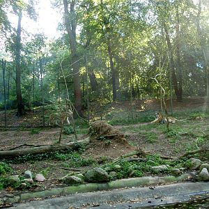 Schwerin Zoo - Tiger Mountain
