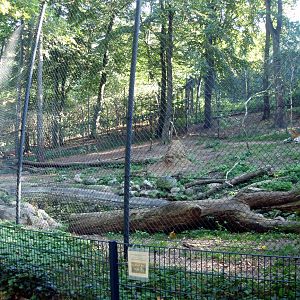 Schwerin Zoo - Tiger Mountain