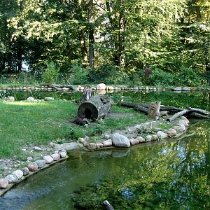 Schwerin Zoo - Otter lake