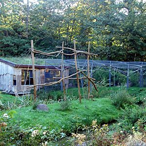 Schwerin Zoo - Gibbon exhibit