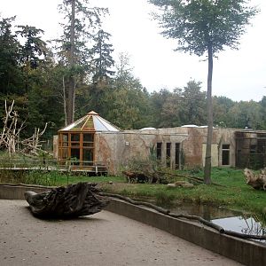 Rostock Zoo - Moneky House