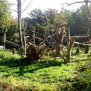 Rostock Zoo - Macaque enclosure