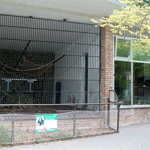Rostock Zoo - Great Ape cages