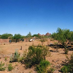 Oryx Exhibit and Grave