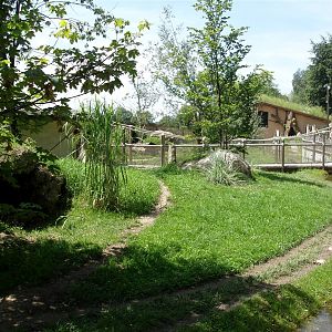 Salzburg Zoo - Maned wolf exhibit