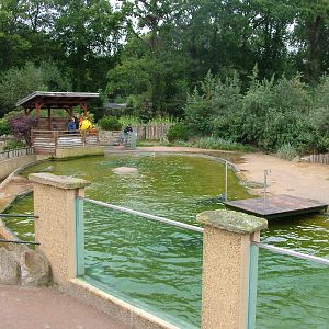 Seal pool at NaturZoo Rheine 2007