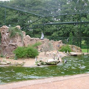 Seabird Aviary at NaturZoo Rheine 2007