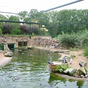 Seabird Aviary at NaturZoo Rheine 2007