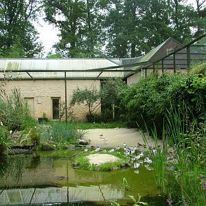 Wader aviary at NaturZoo Rheine 2007