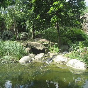 Berlin Zoo - Tiger Exhibit