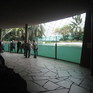 Berlin Zoo - Hippo House