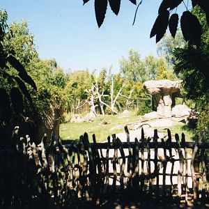 Spectacled Bear Exhibit