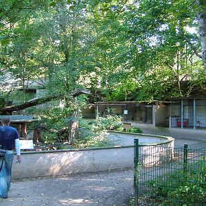 Raccoon enclosure at Luebeck Tierpark 2007