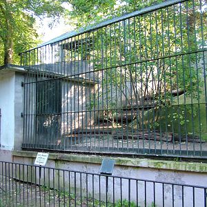 Brown Bear enclosure at Luebeck Tierpark 2007