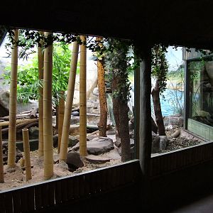 Otter enclosure at Lakes Aquarium 2008