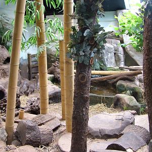 Otter enclosure at Lakes Aquarium 2008