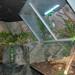 Pygmy Marmoset enclosure at Lakes Aquarium 2008