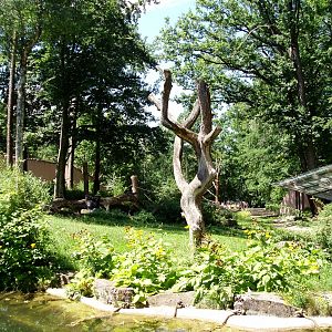 Nürnberg Zoo - Gorilla enclosure