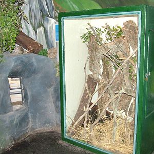 Harvest Mouse enclosure at Lakes Aquarium 2008