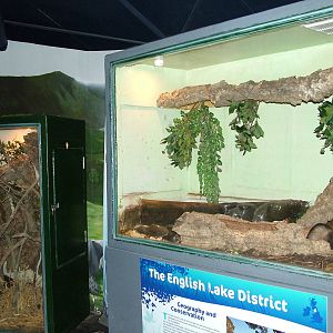 Small Mammal enclosures at Lakes Aquarium 2008