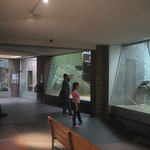 Berlin Zoo - Monkey House