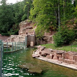 Nürnberg Zoo - Polar bear exhibit