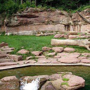 Nürnberg Zoo - Polar bear exhibit