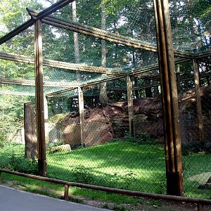 Nürnberg Zoo - Condor aviary