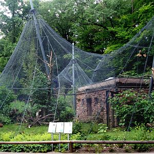 Nürnberg Zoo - South American aviary