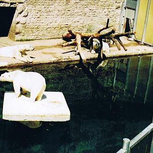 One part of the old Polar Bear exbith