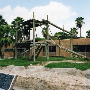 Chimpanzee Exhibit