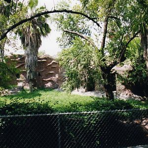 Jentink Duiker Exhibit