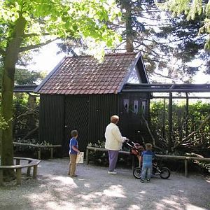 Wissel Zoo in Epe (NL) Macaws