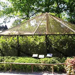 Wissel Zoo in Epe (NL) Tamarins