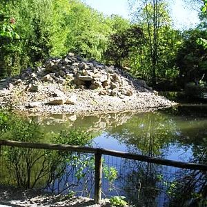 Wissel Zoo in Epe (NL) Penguins